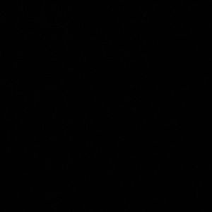 Meet your Posher, Jocelynn